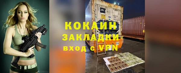 прущие грибы Михайловка
