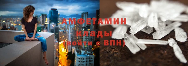 прущие грибы Михайловка