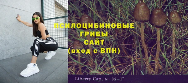 прущая мука Михайлов