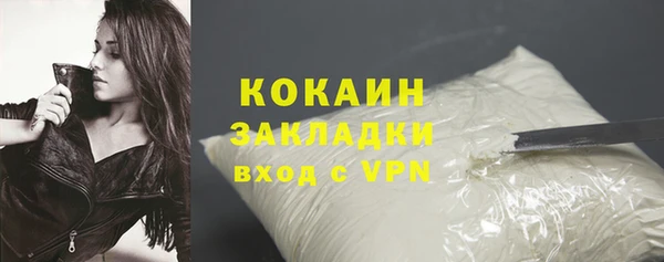 прущие грибы Михайловка