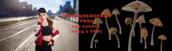мдпв Михайловск