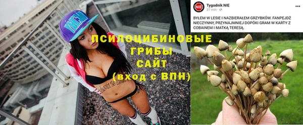 прущая мука Михайлов