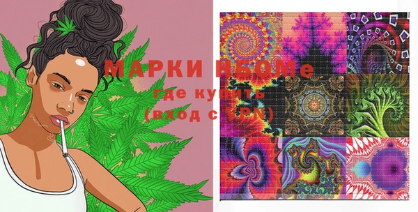 прущие грибы Михайловка