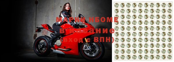 прущие грибы Михайловка