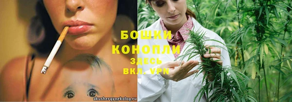 прущие грибы Михайловка