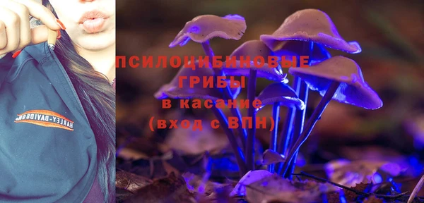 мдпв Михайловск