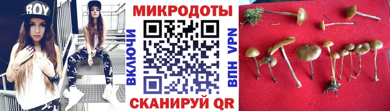 даркнет сайт  Сухой Лог  Галлюциногенные грибы мухоморы 
